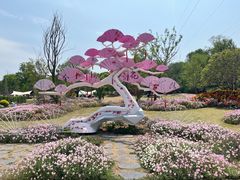 -佛手湖郊野公园