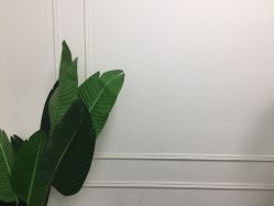 -BM SALON