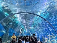 -海合安武汉极地海洋公园