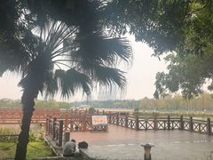 -南宁南湖公园