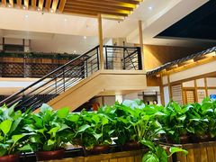 -汤森悠生活文化汤(江宁万达店)