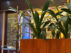 -聚福山莊·寻味顺德(北滘店)