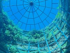 -西峡恐龙遗迹园