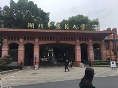 -湖北中医药大学(昙华林校区)