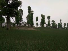 -秀丽东方