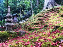 -常寂光寺