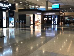 -达拉斯 沃斯堡国际机场