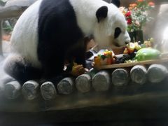 -灵玲国际马戏城