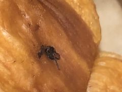 -85度C(南京龙江店)