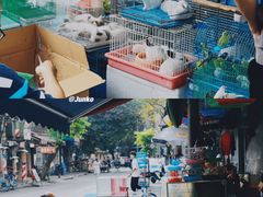 -清平路水族市场