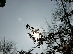 -新江湾城公园