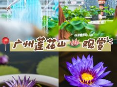-广州莲花山旅游区