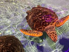 -波塞冬旅游度假区