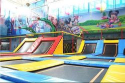 -爱丽丝奇幻乐园