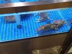 水产区-七鲜超市(通州ONE店)