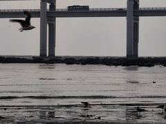 -黑石礁公园