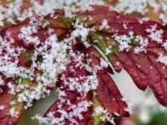 -帽儿山国家森林公园