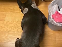 -美联众合24小时·皮肤科·外科·全科诊疗中心(华苑分院)