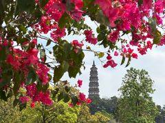 -顺峰山公园