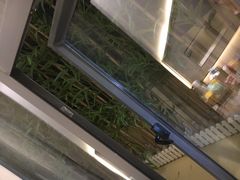 -柏槿酒店(罗湖口岸向西地铁站店)