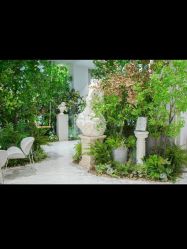 点击看大图 -MuseMarry婚纱(前海嘉里中心店)