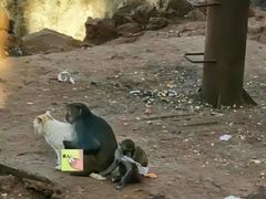 -昆明动物园