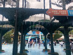 -海合安成都极地海洋公园