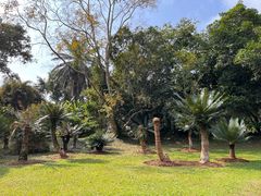 -中国科学院西双版纳热带植物园