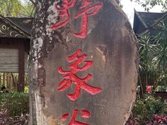 -野象谷景区