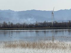-野鸭湖国家湿地公园