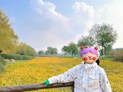 -汉长安城未央宫国家考古遗址公园