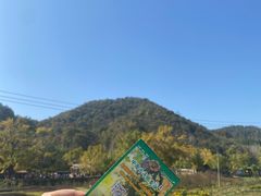 -千年银杏谷文化旅游区