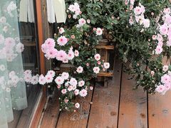-小茶闲舍·观景商务茶馆(广州塔店)