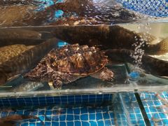 -健眺小海鲜(临海后山店)