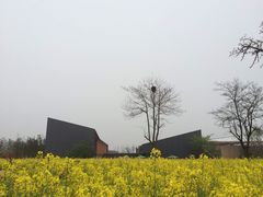 -田园东方蜜桃村的田野营地