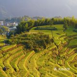 国庆假期云和梯田详细🔎攻略，附避开人流秘决🌄