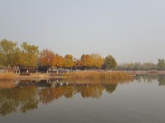 -永定河休闲森林公园