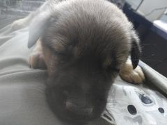 -布噜游泳俱乐部(东闸路店)