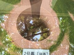 -马王堆汉墓遗址