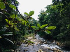 -广州市石门国家森林公园