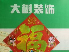 -大树装饰·十年本土家装
