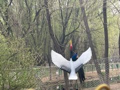 -长白岛森林公园