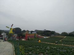 -松山湖梦幻百花洲