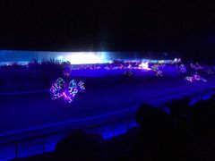 -鼎盛王朝康熙大典实景演出