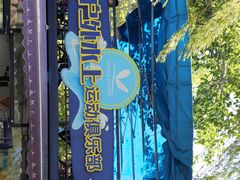 -WhaleSports户外水上运动俱乐部(朝阳公园店)