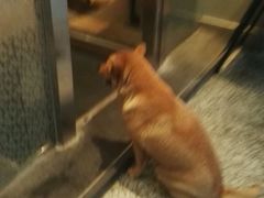 -星巴克(广州淘金路店)