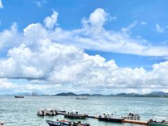 -广东惠东海龟国家级自然保护区