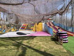 -合肥滨湖国家森林公园