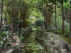 -成都市活水公园