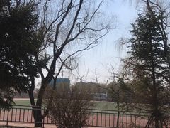 -沈阳职业技术学院